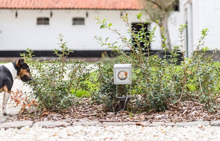 elektrische installatie woning buitenverlichting